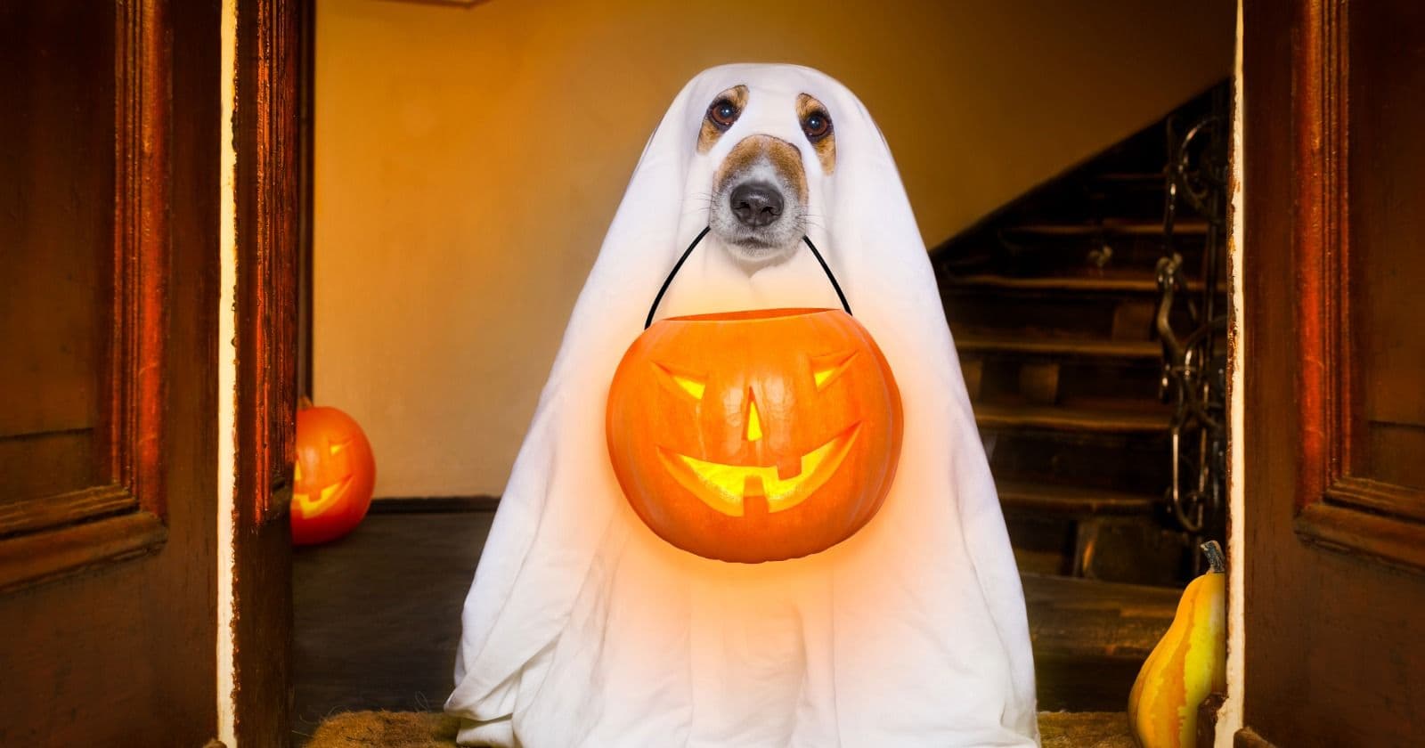 Pedestrian deaths jump 43% on Halloween night, and young kids face the most risk